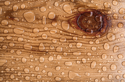 Gebäudereinigung Paderborn - Wasserflecken im Holz entfernen